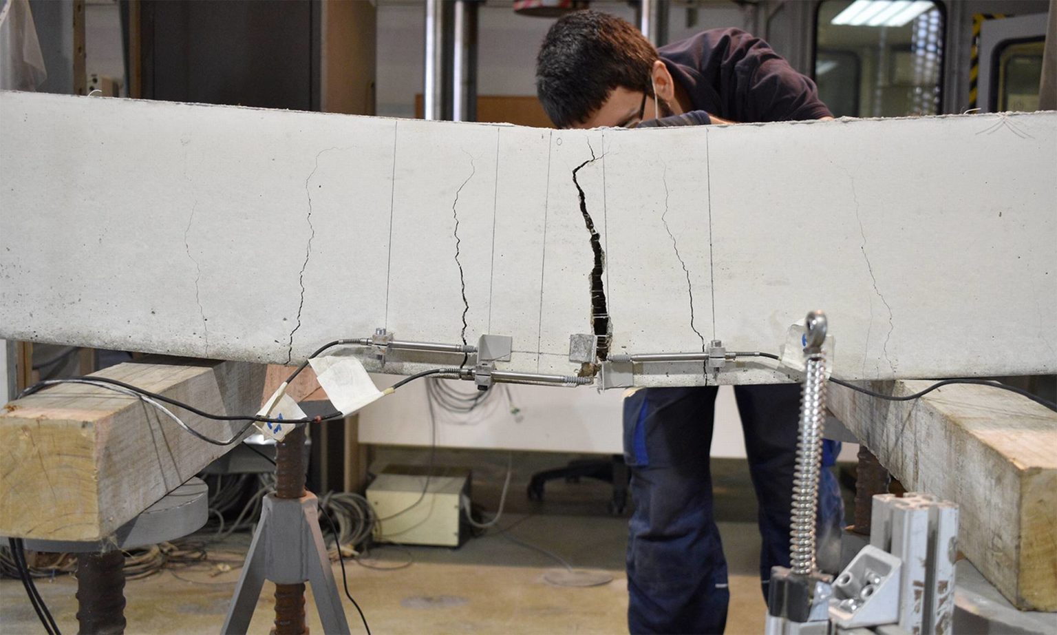 Roots make cement stronger - and electric - Leale International