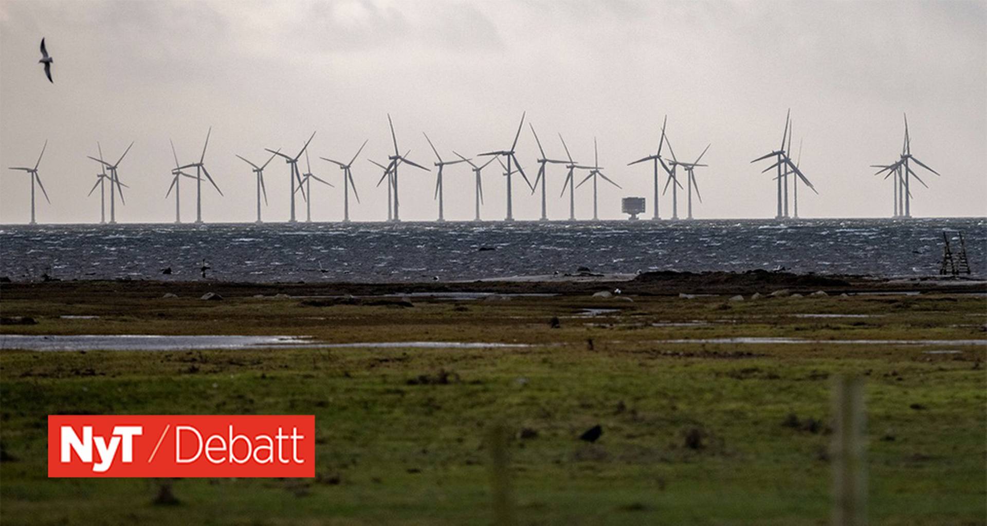 “Weak investigation behind claim that neighbors support offshore wind power”